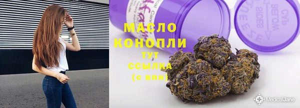 шишки Заволжск