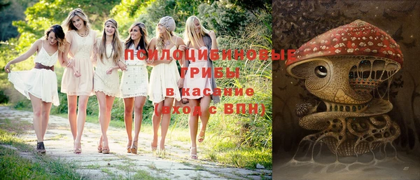 шишки Заволжск