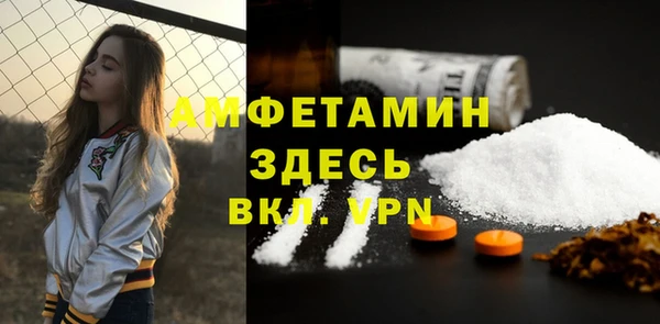 шишки Заволжск