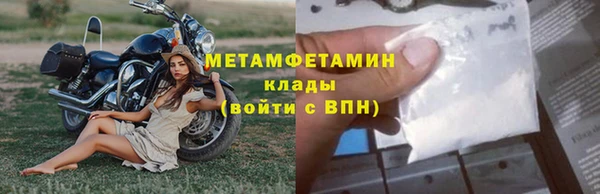 шишки Заволжск
