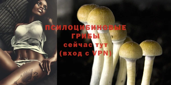 альфа пвп Заволжье
