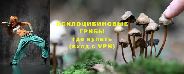 шишки Заволжск