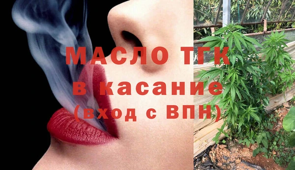 шишки Заволжск