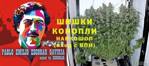 шишки Заволжск