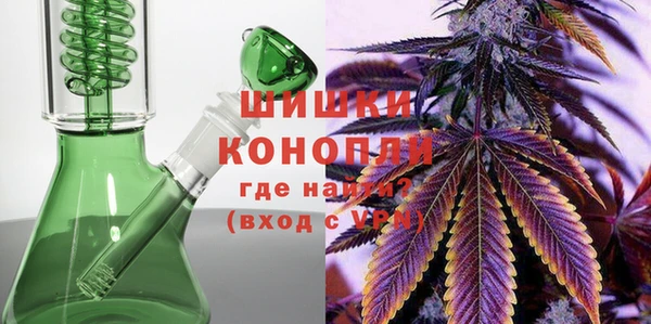 шишки Заволжск
