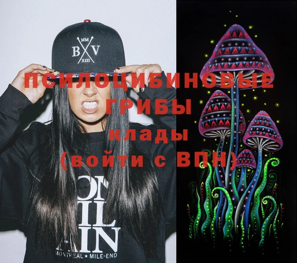 шишки Заволжск