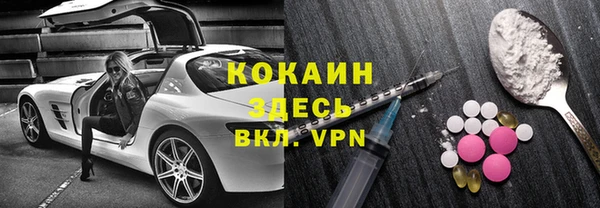 шишки Заволжск