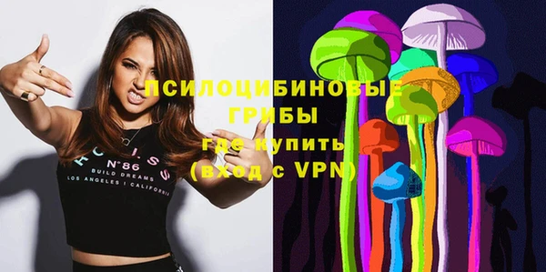 шишки Заволжск