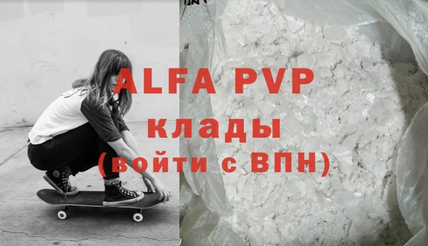 шишки Заволжск