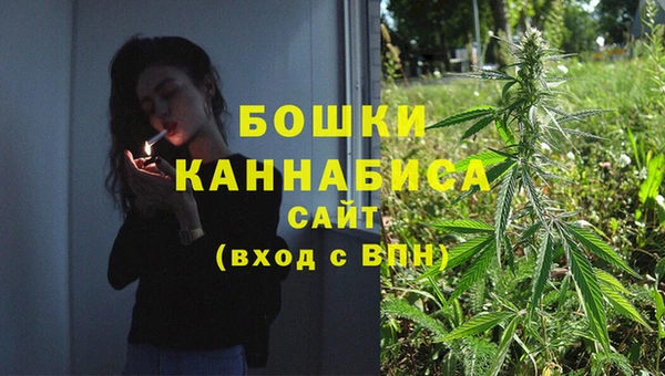 шишки Заволжск