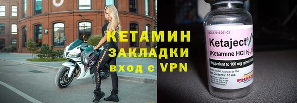 шишки Заволжск