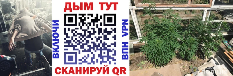 закладка Назрань Бошки марихуана семена